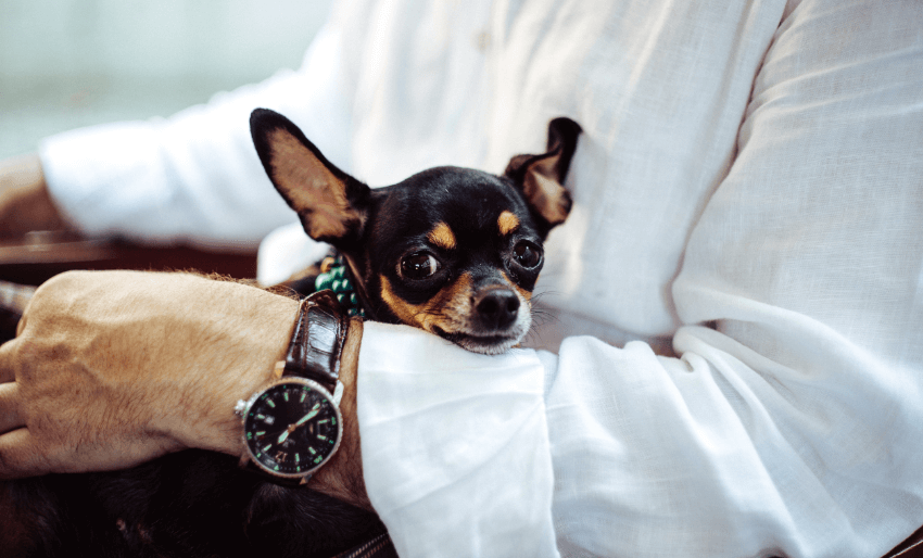 5515051a angelina litvin xtj4ztpd 8 unsplash 1.png